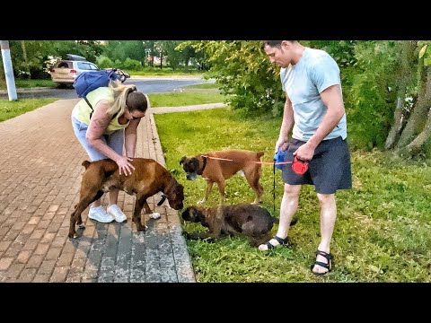 Видео: Масажни възглавници: отзиви, цени, препоръки