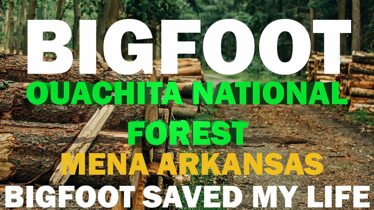 BIGFOOT ENCOUNTER IN THE OUACHITA NATIONAL FOREST ARKANSAS | (BIGFOOT SAVED MY LIFE!)
