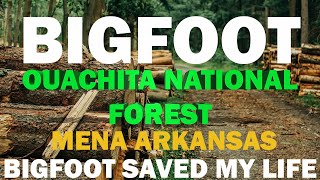 BIGFOOT ENCOUNTER IN THE OUACHITA NATIONAL FOREST ARKANSAS | (BIGFOOT SAVED MY LIFE!)