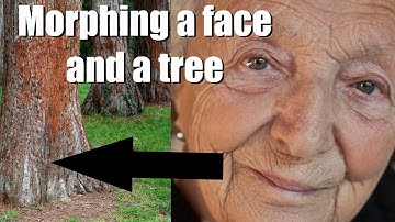 Photoshop Elements Morphing a Face with a Tree Photoshop Elements Tutorial