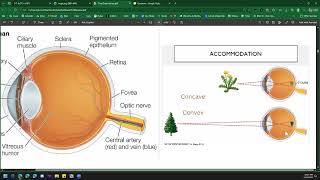 Famous SP26 BIOL Review Session - BIOL105 Final Profile