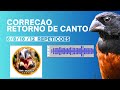 selo prata fh 30 anos capadocia correcao de retorno de canto curio 6 8 10 e 12