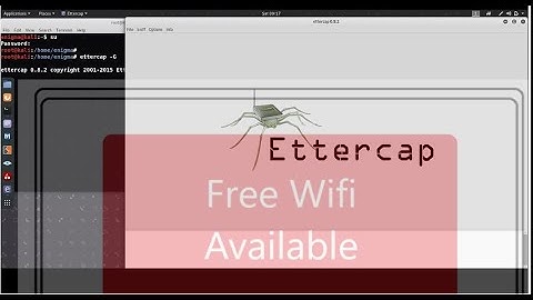 Ettercap || Redirect Http Traffic || Public Networks