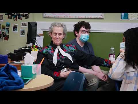 Temple Grandin Ph.D. visits Ivy Street School