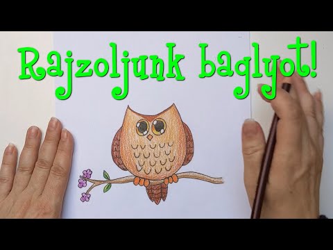 Videó: Hogyan Rajzoljunk Baglyot