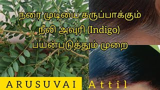 Neeli Avuri Natural hair dye/நீலி அவுரி/Indigo plant organic Hair dye tamil/How to use Neeli Avuri Resimi