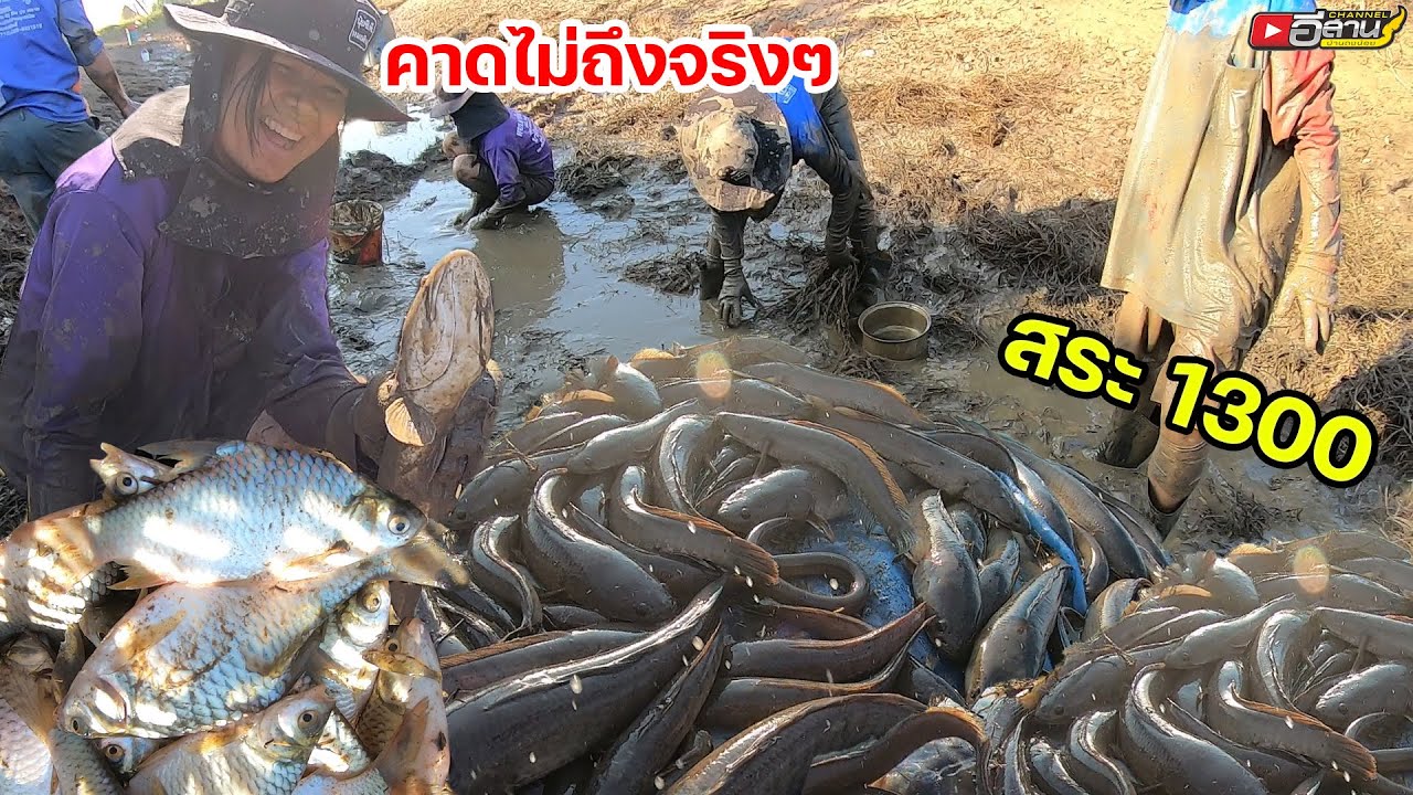 คาดไม่ถึงจริงๆ ว่าจะเยอะขนาดนี้ จับกันจนเหนื่อย ลุยต่อสระ 1500 บาท