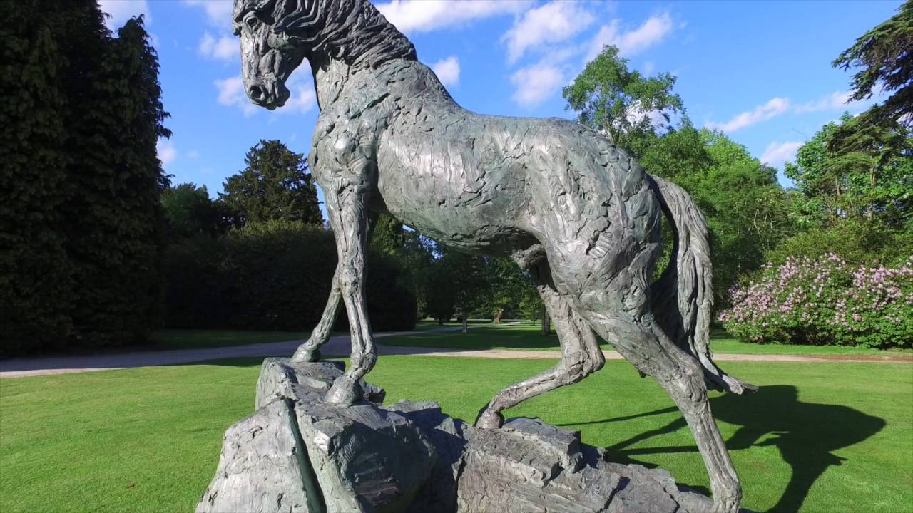 Goodman's Field Andalusian Stallion arriving @BlenheimPalace