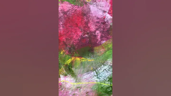 Bed of Roses video