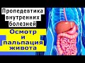 Пропедевтика внутренних болезней | Осмотр живота | Поверхностная и глубокая пальпация живота