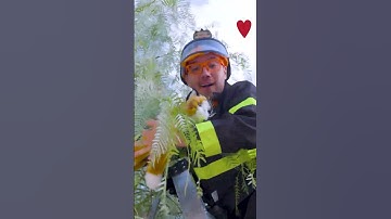 Firefighter Blippi Saves a Cat! Blippi #Shorts