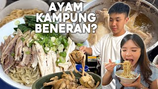 Download Lagu DITUDUH PAKE AYAM KAMPUNG PALSU, MALAH MAKIN RAME PEMBELI MP3 Download Lagu DITUDUH PAKE AYAM KAMPUNG PALSU, MALAH MAKIN RAME PEMBELI MP3
