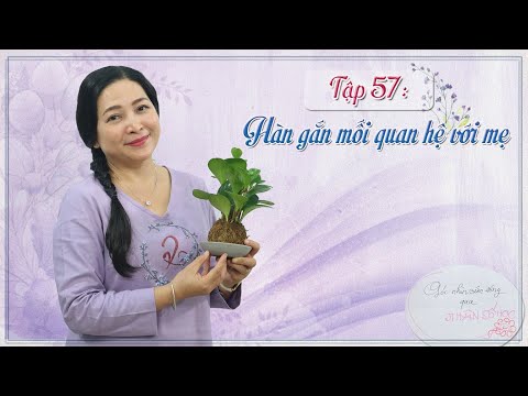 Video: Các Mối Quan Hệ Thay Vì Một Tấm Gương