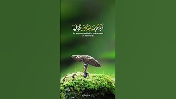حَتَّىٰٓ إِذَآ أَتَوْاْ عَلَىٰ وَادِ ٱلنَّمْلِ - سورة النمل تلاوة خاشعة للقارئ اسلام صبحي