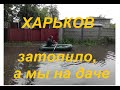 Потоп в Харькове .ДачаРадости и огорчения.Дожди и радуга.Грибы и цветы.Огород в июне.