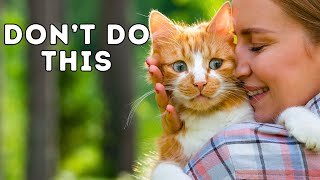 8 Things Cats Hate That Humans Do by Kitten Munch 1,591 views 1 month ago 10 minutes, 20 seconds