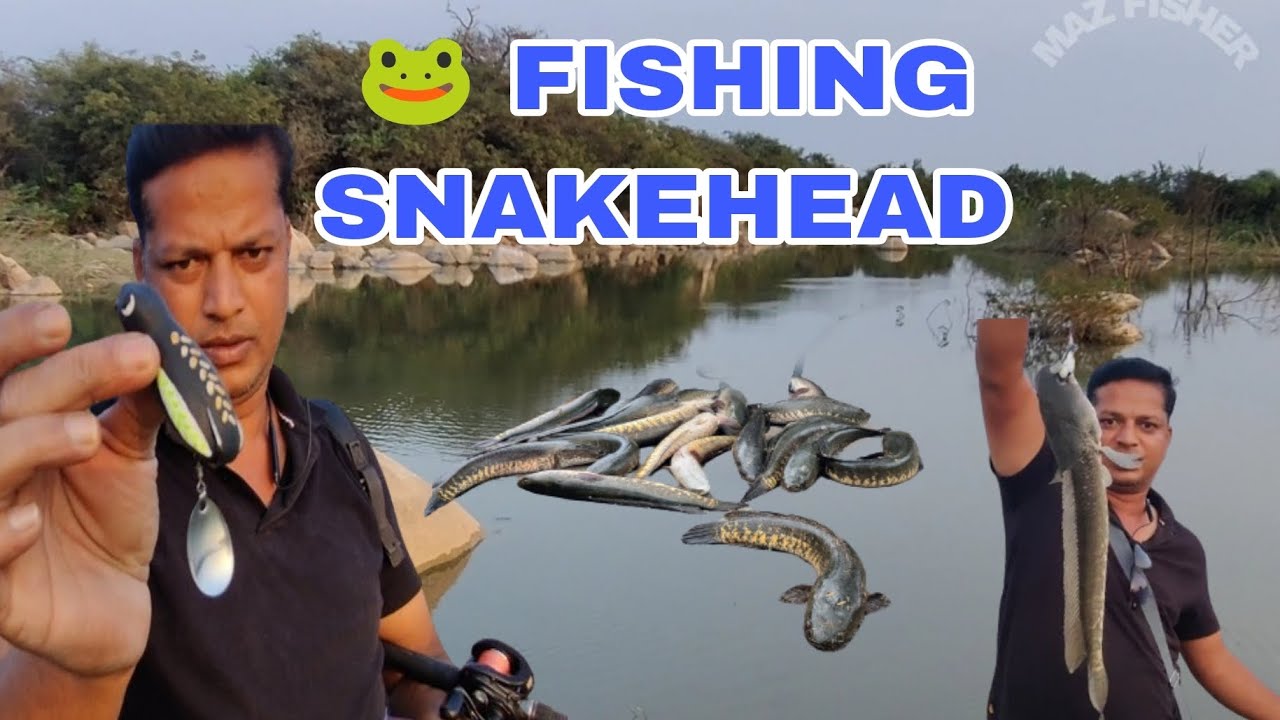 FISHING Videos top water bass Fishing