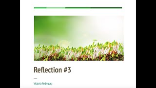 Artifact Reflection