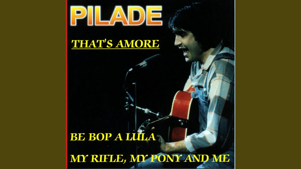 Fin che la barca và