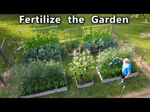 Video: Wanneer mest in de tuin?
