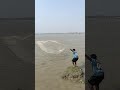 Catch a big fish by castnet River fishing time. #reels #Amazing #fishing #fish #