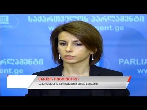 საქართველოს პარლამენტის თავმჯდომარისა და წევრების შეხვედრა ბრიჯიტ ბრინკთან