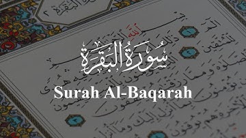 سورة البقرة للشيخ عبدالفتاح حميداتو - المصحف المرتل