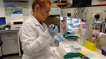 Measuring protein interactions with LRRK2