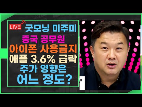   굿모닝 미주미 아이폰 중국 공무원 사용금지 애플 주가 3 6 급락 금리 급등에 기술주 하락폭 확대 우려 미주미 이항영