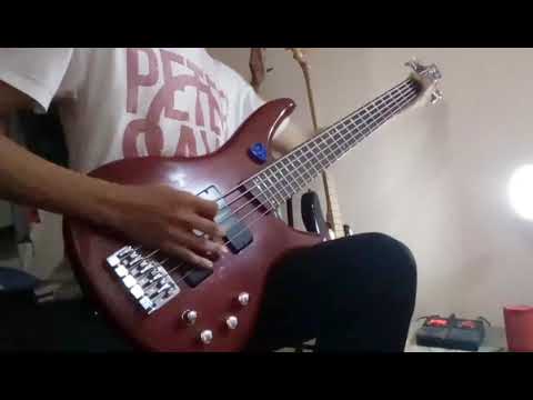 suicide-silence---you-only-live-once-(bass-cover)