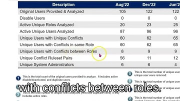 For C-Suite - Maximize Your Oversight: Strategic Insights from NetSuite SOD Check Diagnostics Part1