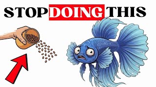 You're Slowly KILLING Your Fish - And You Don't Even Know It 5 Things Goldfish Owners Do That Are Slowly Killing Them