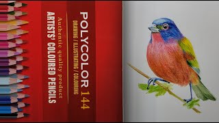 :   koh i noor polycolor 144  