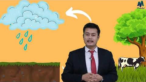 Natural Resources Part-1 || Class IX Science || Maheikol