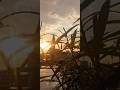 "Baarish, Sunset aur ye sukoon! ✨🌿 #Nature #Rain #Sunset"