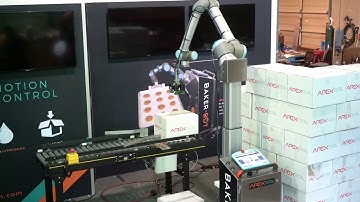 Robotic End of Line Palletizing by Apex Motion Control