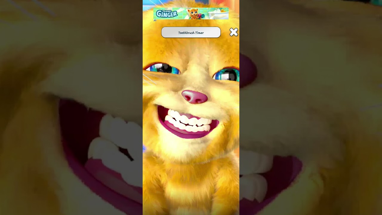 Talking Tom Cat Funny Gameplay 