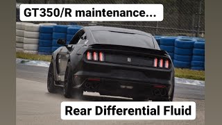 GT350/GT350R Rear Differential maintenance / HOW TO perform  Rear Differential Fluid Service