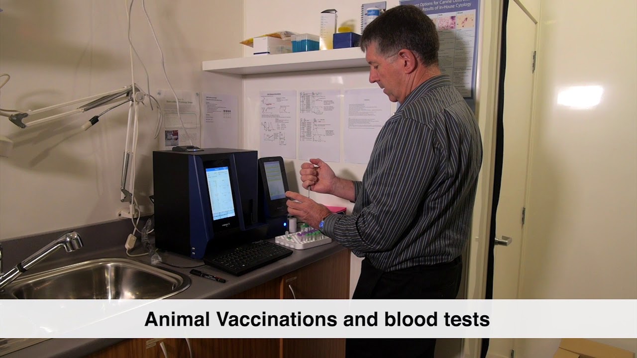 Normanby Road Veterinary Center - Animal Healthcare Professionals