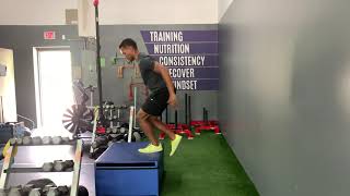 Single Leg Paused Box Jump