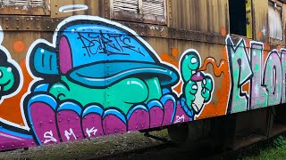 Grafitando Personagem em Sucata de Trem
