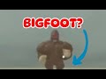 Going Bigfoot hunting!🦶