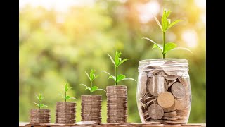 Master Your Finances  A Beginner's Guide - THE BUDGET
