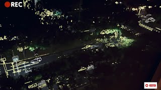 Asmr - Birds chirping at Midnight （in one minute)
