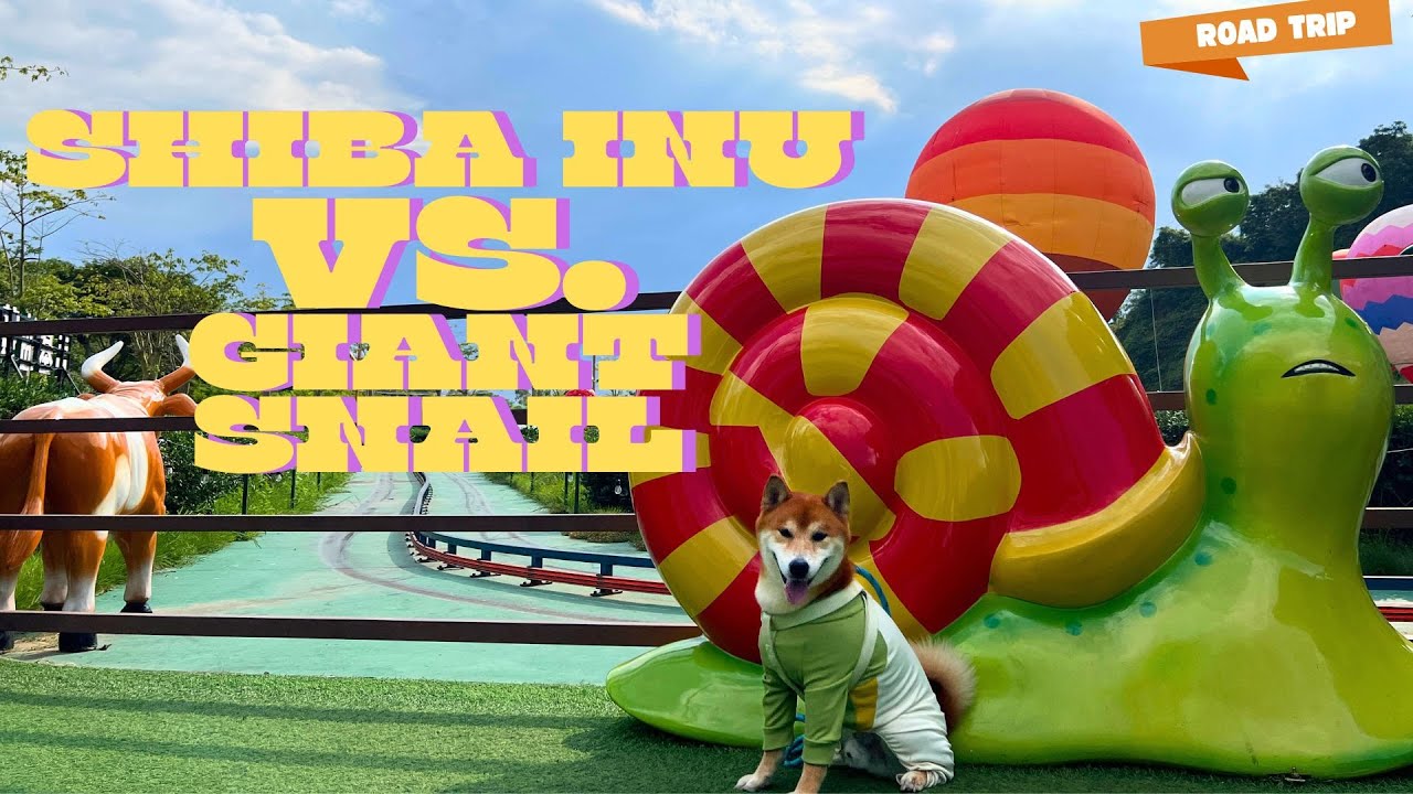 We Got Lost in China with a Grumpy Shiba... (Huizhou Road Trip)