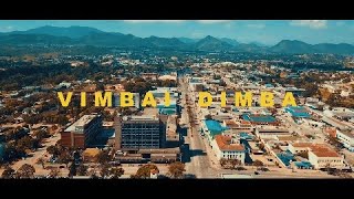 Zvapfuura -  Vimbai Dimba [Amapiano Official Video]