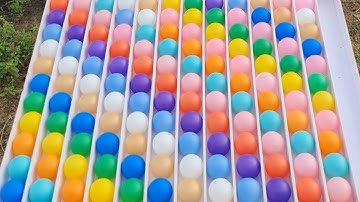 The Future of Color Sort Puzzle Games