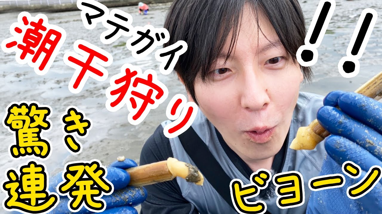 こんな採れるの 千葉ポートパークで初めての潮干狩り アサリやマテガイ シオフキガイが沢山 千葉県 漁業権なし 無料の潮干狩り 千葉港 千葉みなと Youtube こんな採れるの 千葉ポートパークで初めての潮干狩り アサリやマテガイ シオフキガイが沢山 千葉県 漁業権なし 無料の潮干狩り 千葉港 千葉みなと Youtube