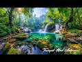 Deep Sleep Music 🌿 Healing Frequency - Insomnia Relief - Relaxing Piano Music