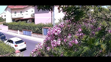 Reolink CX410 ColorX Camera - Day and night time footage